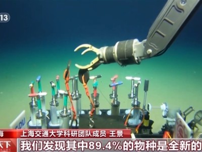 全球首个！中国科学家绘制出深渊生态系统全景图